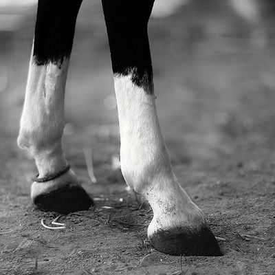 Close-up on a person's feet, maintaining a stable stance.